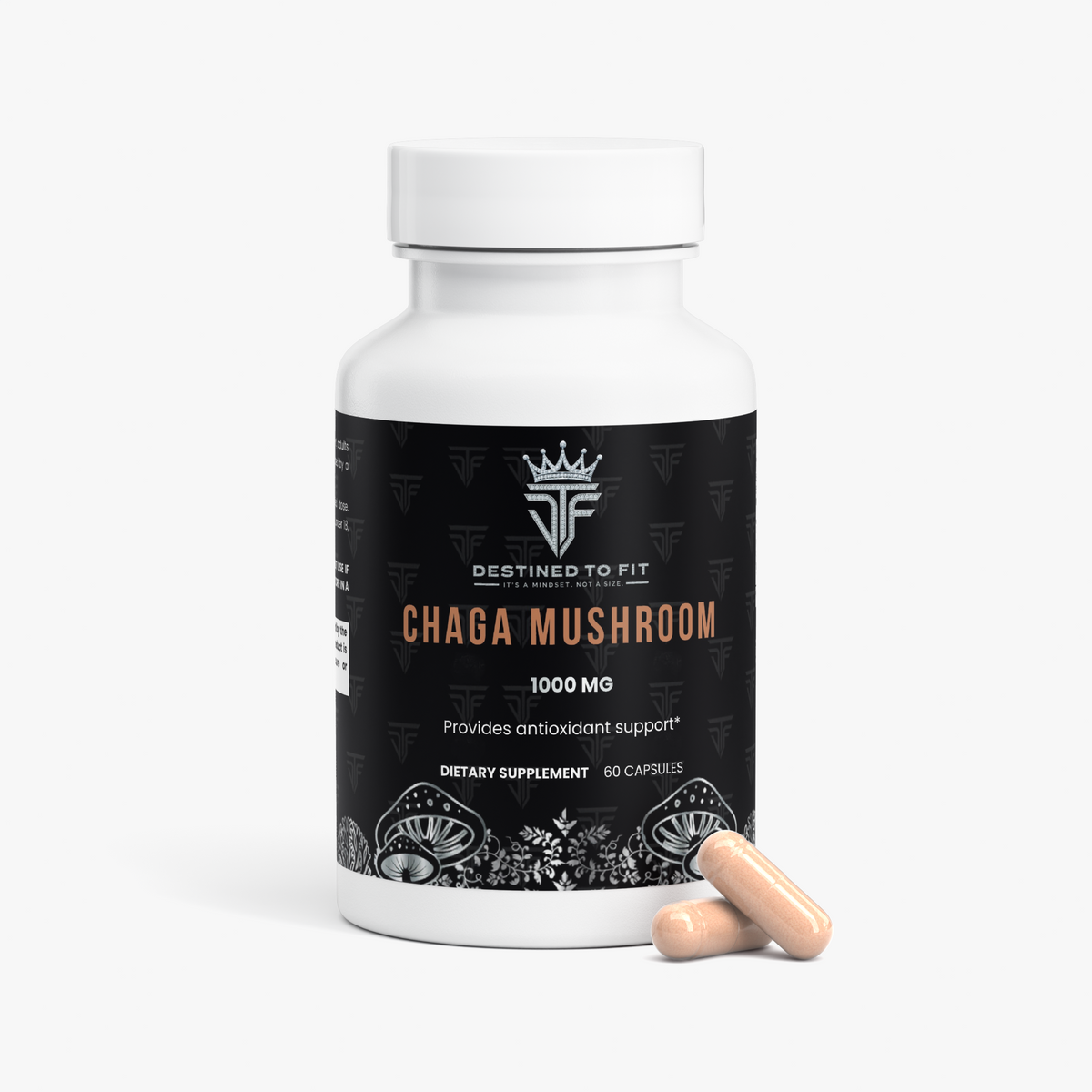 Chaga Mushroom