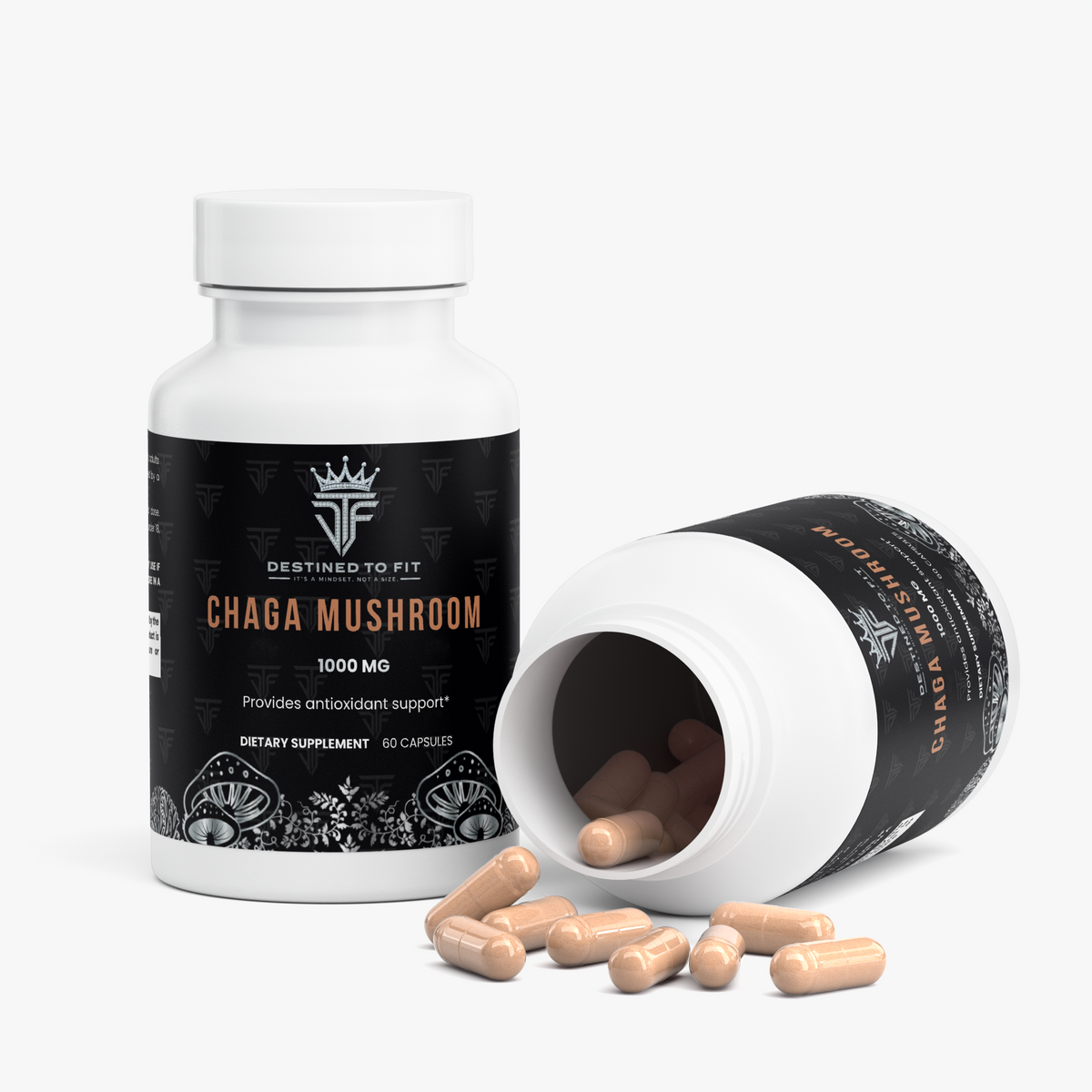 Chaga Mushroom