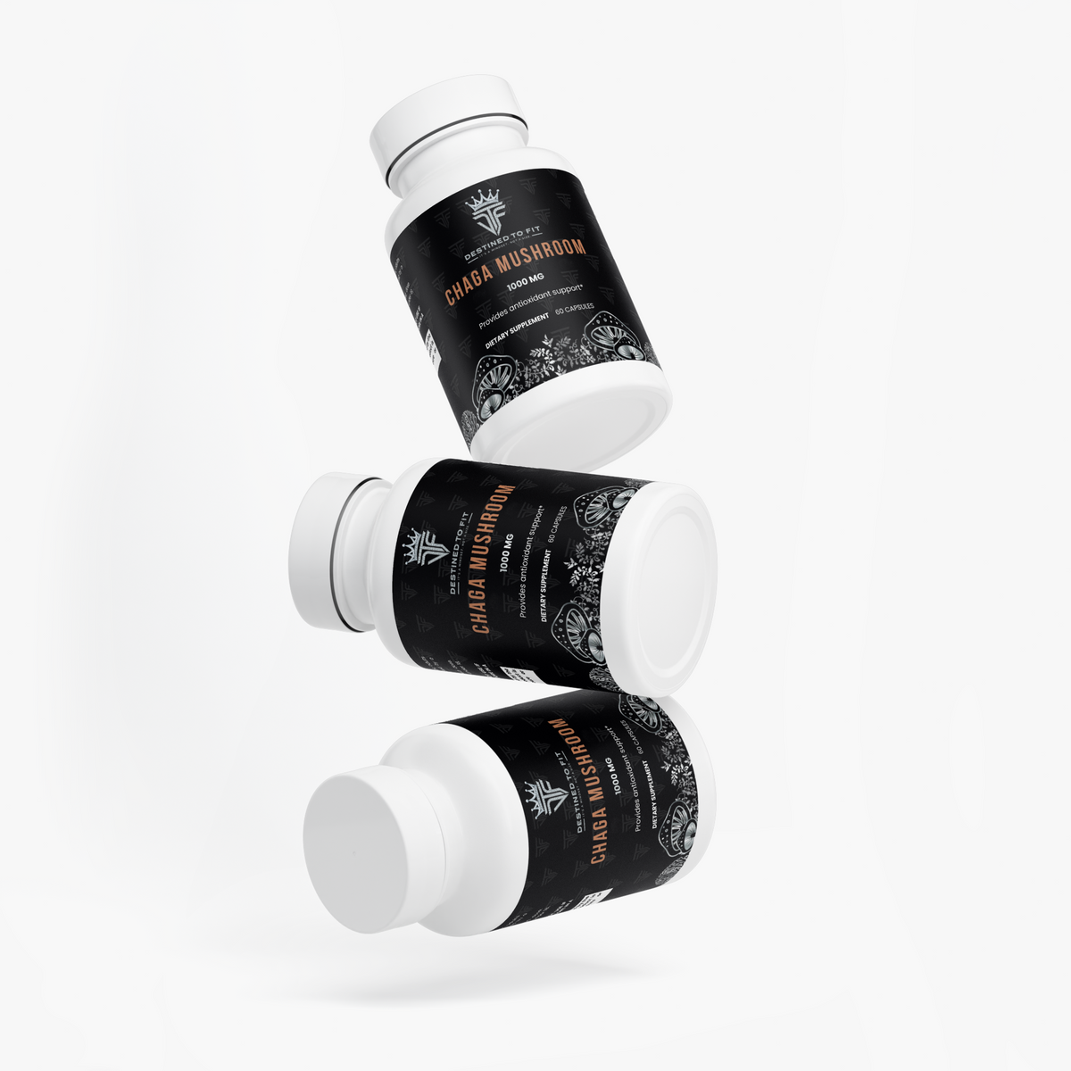 Chaga Mushroom